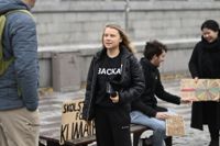 Bland de totalt 636 barn och unga som står bakom stämningen finns aktivisten Greta Thunberg. Arkivbild.
