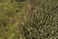Bland nordbor är finländare minst villiga att satsa pengar på att förebygga klimatförändringar visar en färsk undersökning av nordiska klimatattityder.