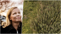 Kati Kulovesi är professor i internationell rätt och internationell miljörätt vid Östra Finlands universitet.