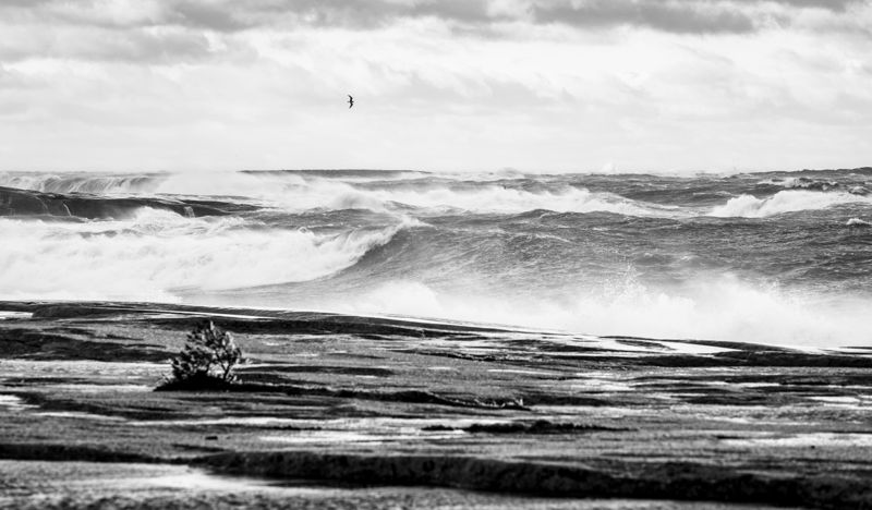 Stormiga vågor fotade på Åland 2.1.2019.