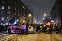 Flera olika kurdiska flaggor förbjöds i samband med demonstrationen "Helsingfors utan nazister" på självständighetsdagen.