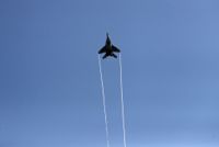 Ett stridsflygplan av modellen Mig-29. Det är en annan modell än den som kraschade i Kroatien. Arkivbild.