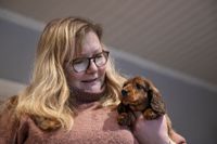 Pauliina Sjöholm har fött upp taxar i trettio år. – Jag var bara 17-18 år när jag började. Jag fick följa med en annan uppfödare först, och sen beslutade jag att själv försöka. Nu är det mer än en hobby, har det vuxit till ett livsverk, säger hon.