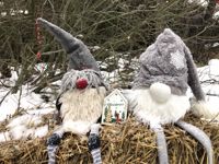 Julstigen i Hangö har återskapats så gott det gick efter förra helgens förstörelse. Julstigen arrangeras för åttonde gången i år och viss skadegörelse har stigens tomtar fått utstå också tidigare år, men det var första gången den utsattes för förstörelse i sådan omfattning som i år.
