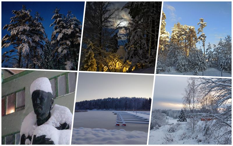 Läsarnas vinterbilder.