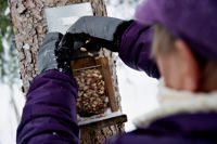 Äta bör man. Anne tittar noga på priserna i matbutiken.