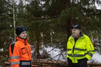 Matias och Mauri Verhola är måna om att göra ett omsorgsfullt arbete. Deras tvåmansföretag har utsets till årets skogsentreprenör.