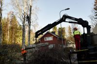 Stormskador hör till de vanligaste skadorna på sommarstugan. För att förhindra skador av träd som faller på byggnader lönar det sig att kontrollera i vilket skick träden närmast husen är och fälla träd som är gamla och murkna.