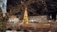 Är det ens jul om granen inte står på sin rätta plats på Rådhustorget i Ekenäs?
