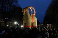 Gävlebocken invigdes första advent, på den nya tillfälliga platsen på Rådhusesplanaden i centrala Gävle. Arkivbild.