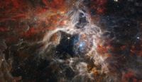 Bilden visar Tarantelnebulosan, fångad av James Webb-teleskopet i september i år.