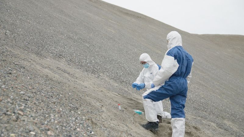 Forskare samlar prover från sediment på Grönland. Genom att rena dna-fragment har de lyckats skissa fram ett helt ekosystem som fanns för två miljoner år sedan. Pressbild.