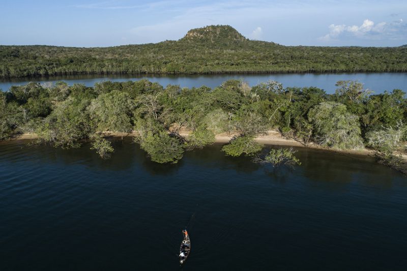 Amazonas regnskog.