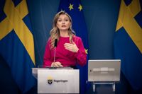Tala med elbolaget eller med banken, är den svenska näringsministern Ebba Buschs råd till dem som är oroliga för decembermånadens elräkning. Elprisstödet som ska betalas ut i södra Sverige kommer först i februari.