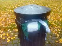 SKRÄP. Hanna Backända rastade hunden och fick se Nordiska motståndsrörelsens flagga svaja i flaggstången i Stadsparken i Borgå. Hon halade flaggan och slängde den i soporna.