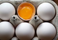 I dag Axfood, i går Coop. Båda kedjorna återkallar ägg på grund av salmonella. Arkivbild.