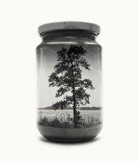 Minnen på burk. Christoffer Relander har fångat sin barndoms landskap på ett unikt sätt.