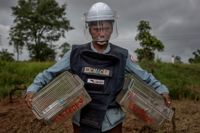 Det statliga Cambodia Mine Action Centre, CMAC, uppskattar att antalet minor i landet uppgår till fem miljoner. Nu har man tagit gambianska råttor till hjälp i minröjningen.
