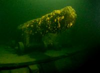 KANONERNA KVAR. Efter 300 år på Finska vikens botten ligger kanonerna fortfarande kvar på sina platser på fregattens däck.