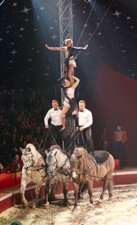 I AKTION. Cirkusdirektören i andra led, Calle Jr Jernström (på hästen till höger), ses i ett av numren på Sirkus Finlandias jubileumsturné. Klassiska hästtricks gör han tillsammans med Ignat, Maria och Sofia.