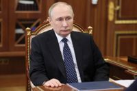 Rysslands president Vladimir Putin manar till vapenvila över den rysk-ortodoxa julhelgen.