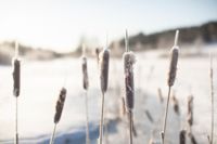 Vinterfiske kan bjuda på stora naturupplevelser.