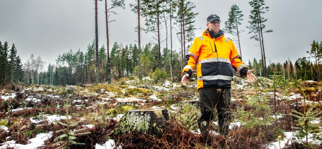 Vad gör man när skogsbolagen säger att röta gör skogen värdelös om 10 år och det gäller att avverka nu? frågar sig Jan-Erik Karlsson i Nagu. Skogsägarna är hårt ansatta från olika håll.
