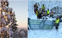 Skogen som nu avverkas i Kolari kallar Finlands Naturskyddsförbund för ett ”sällsynt naturområde”. – Skogen är mogen, om den lämnas i fred kan den utvecklas, mångfalden öka och bli gammalskog och då bli officiellt fredad, säger Saara Laivamaa, ordförande för Finlands Naturskyddsförbunds Lapplandsdistrikt.