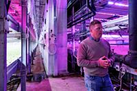 Växhusen har drabbats hårt av energikrisen. Robert Jordas och Robbes Lilla Trädgård har gjort stora investeringar för att sänka på energikostnaderna.