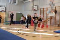 Fortsättning följer för Finlandsmodellen, bland annat i Raseborg.