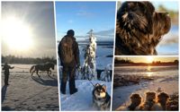 Våra läsare skickade in fina bilder på deras fyrbenta vänner.