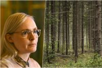 Den som skyddar en skog från avverkning gör en mätbar klimatgärning som det går att tjäna pengar på, men bara om det inte leder till att en annan skog avverkas. Det är en av principerna för marknaden för klimatkompensation, som fått sina första nationella spelregler.