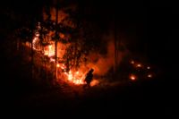 En brandman kämpar mot lågorna i regionen Araucania.