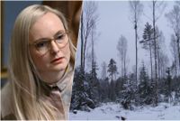 Maria Ohisalo medgav att hon kunde ha uttryckt sig mer detaljerat om vad som fredats och att beslutet inte är tillräckligt för att skydda natur och mångfald.