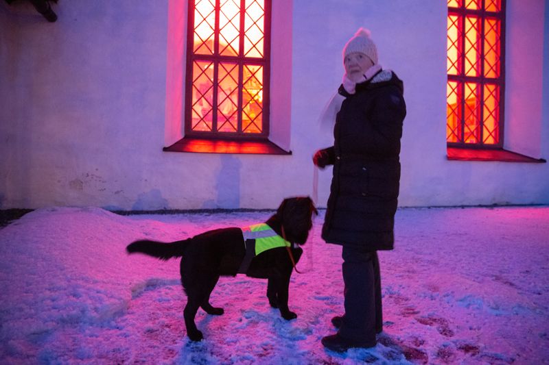Siv Boström och hunden Nelly kom specifikt för ljusfestivalen.