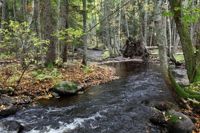 Delar av Kullasjöns vattendrag har bevarats i nästan naturligt tillstånd. 