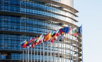 De yttre gränserna förstärks på många håll. På samma sätt ser vi de inre gränsernas återkomst som ett grundskott mot hela EU-gemenskapen. EU står just nu inför ett vägval.
