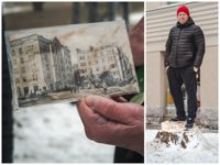 Ett träd som stått på Fredrikstorg åtminstone sedan 1926 har huggits ned i Rödbergen, vilket upprör bland andra Jarno Qvick.