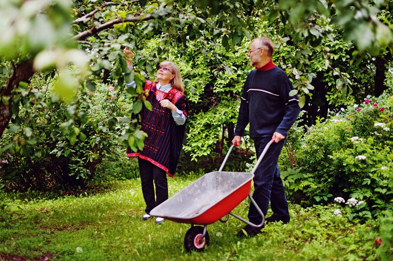 Björnsö, som ligger nära Landbo, är också en villaidyll. Staden vill gärna ha en bro här i framtiden.