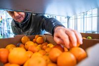 Sverige har drabbats av den högsta inflationen på mer än 30 år. Trots hög energiintensitet inom jordbruket har Finland haft en förhållandevis låg prisökningstakt i jämförelse med EU-genomsnittet.