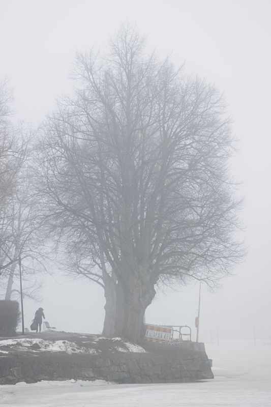 Kajkanten vid Levinska källaren.