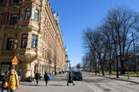 Norra Esplanaden kommer att vara full av uteserveringar och palmträd i sommar.