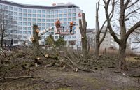 Utsikten mot hotellen Scandic Park och Crown Plaza sedd från Hesperiaparken på fredagseftermiddagen.