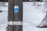 Risken för snöskred är stor i Finland just nu.
