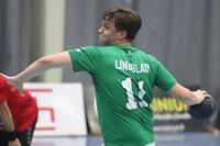 Viktor Lindblad gjorde sju mål för EIF.