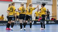 Knights med Tia Ström, Jennifer Vihlman, Denise Danielsson och Tavga Zahir stiger till division 3.