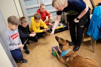 Caspian Levälampi, Amos Nysten, Flynn Hemnell och Vilhelm Lang spelar bingo med hunden Akka och läraren Monica Wilenius.