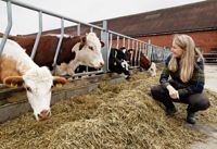 – Korna är så otroligt ihärdiga. Samtidigt är de lugna och nyfikna och de märker direkt om det är en ny människa i ladugården, säger lantbrukaren Ellen Rydbeck.