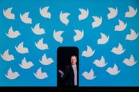 Elon Musk har självsaboterat sitt Twitter, vilket öppnar för uppstickare som avknoppningen Bluesky.
