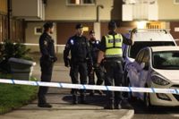 Flera personer larmade om skottlossningen som inträffade i ett bostadsområde i Rågsved i södra Stockholm.
